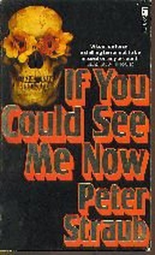 If You Could See Me Now