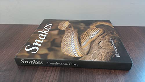 Snakes: Biology, Behaviour and Relationship to Man