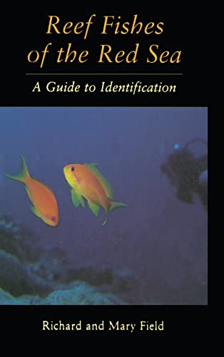 Reef Fish Of The Red Sea