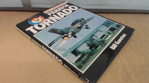 Panavia Tornado (Modern combat aircraft 6)