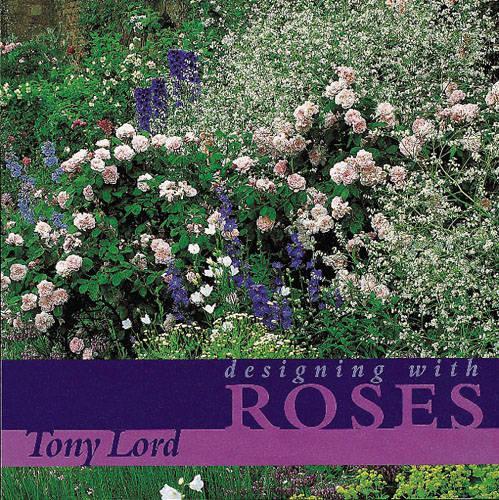 Designing with Roses