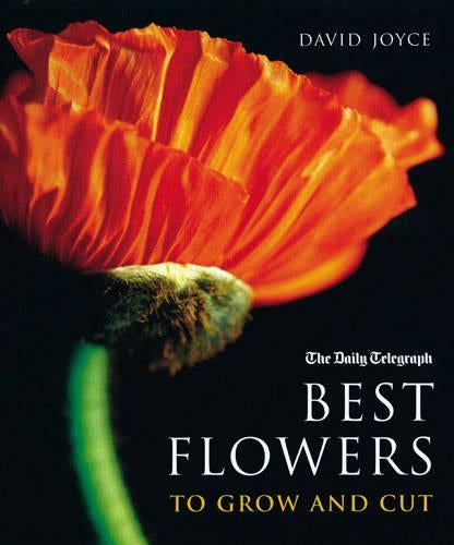 The Best Flowers to Grow and Cut