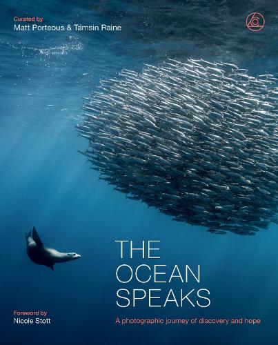 The Ocean Speaks
