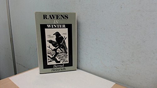 Ravens in Winter