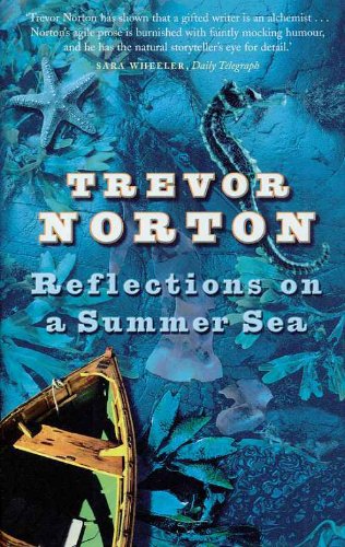 Reflections On A Summer Sea