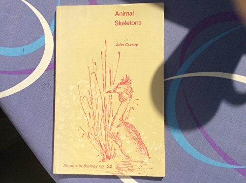Animal Skeletons