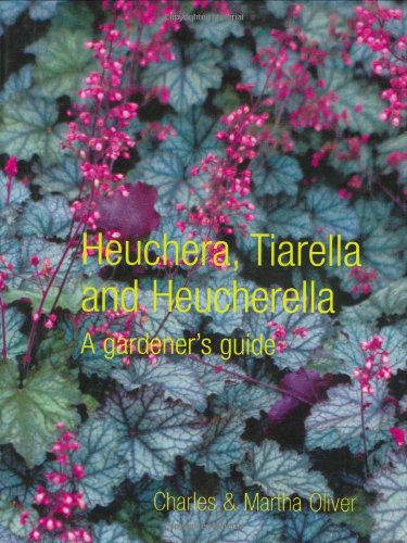 Heuchera, Tiarella and Heucherella