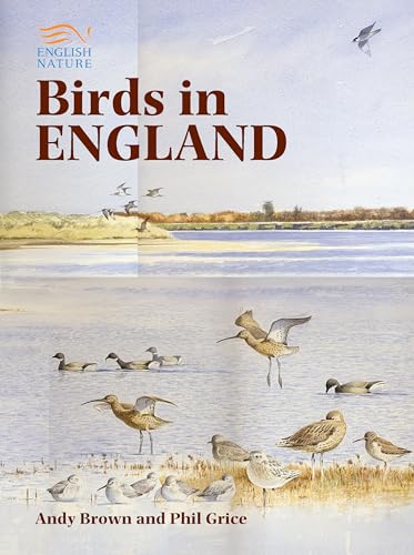 Birds in England