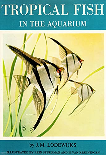 Tropical Fish in the Aquarium