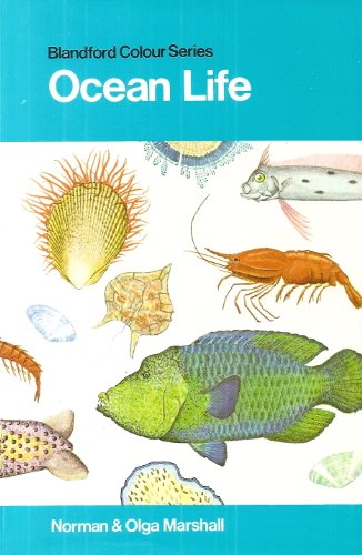 Ocean life in colour