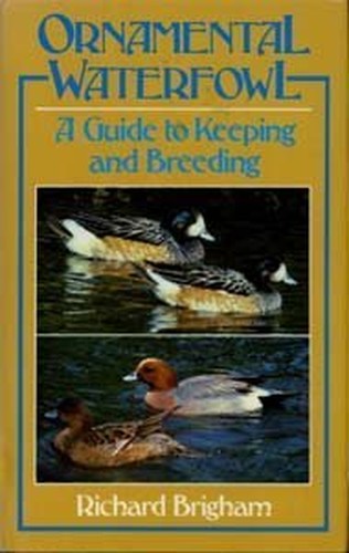 Ornamental Waterfowl