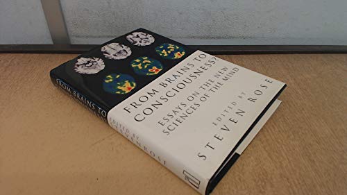From Brains to Consciousness?