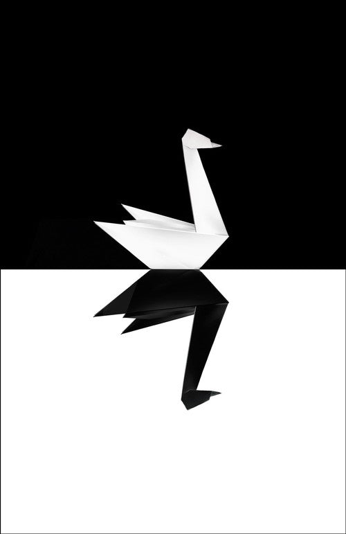 The Black Swan