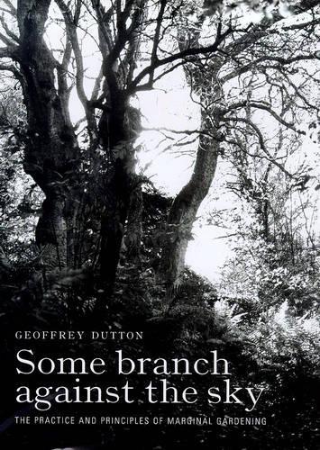 Some Branch Against the Sky