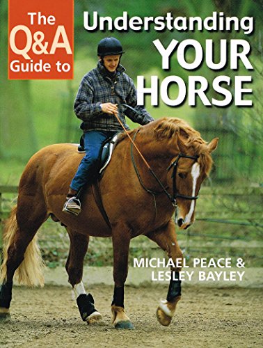 The Q&A Guide to Understanding Your Horse