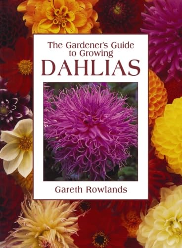 Gardeners Guide Growing Dahlias