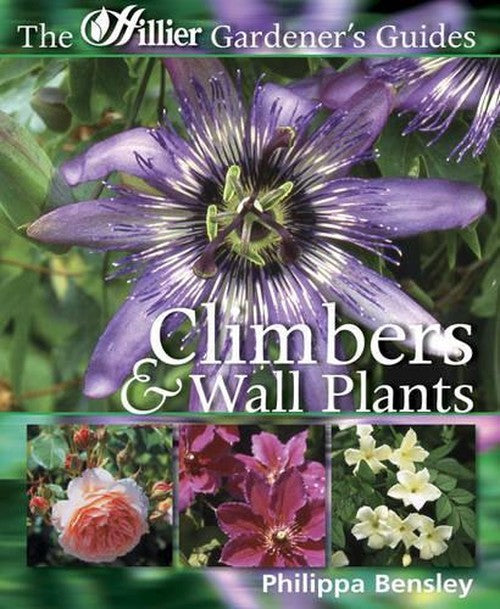Climbers and Wall Shrubs