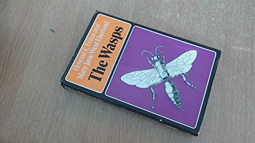 Wasps