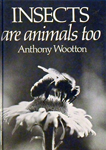 Insects are Animals Too