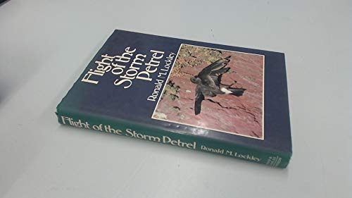 Flight of the Storm Petrel
