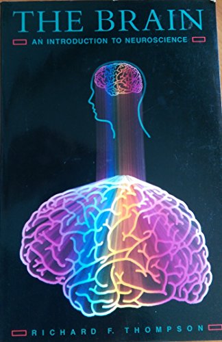 Brain