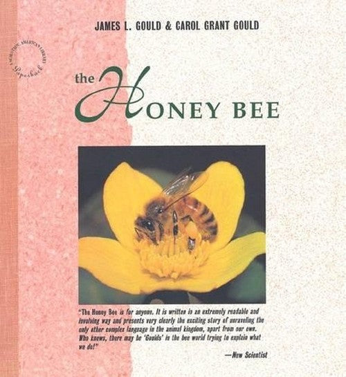 The Honey Bee