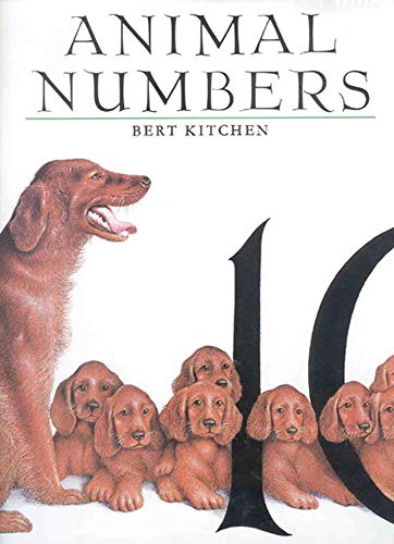 Animal Numbers