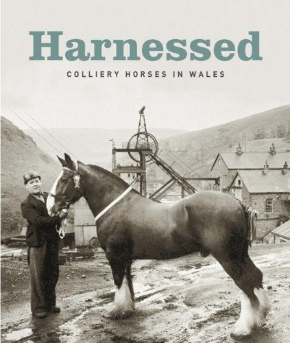 Harnessed Colliery Horses in Wales