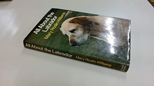 All About the Labrador