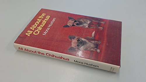 All About the Chihuahua