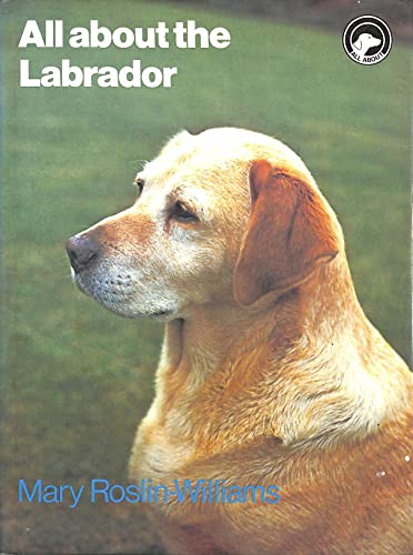 All About the Labrador