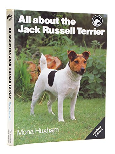 All About the Jack Russell Terrier