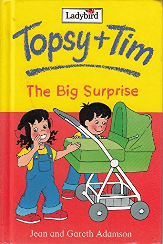 Topsy and Tim: The Big Surprise