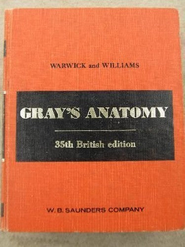 Grays Anatomy British Edition