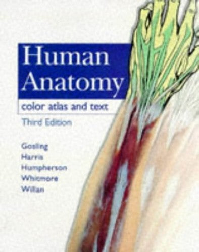 Human Anatomy