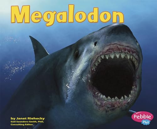 Dinosaurs and Prehistoric Animals Megalodon