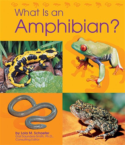 What Is an Amphibian?