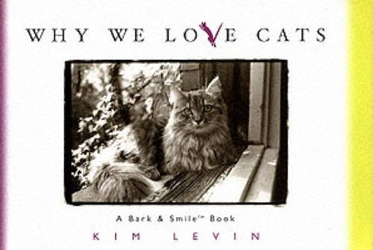 Why We Love Cats