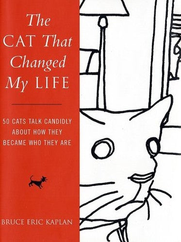 The Cat That Changed My Life