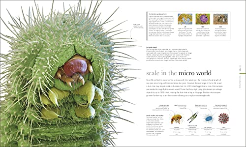 Micro Life