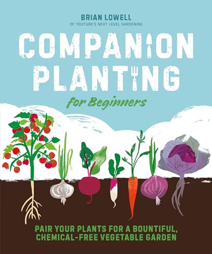 Companion Planting for Beginners