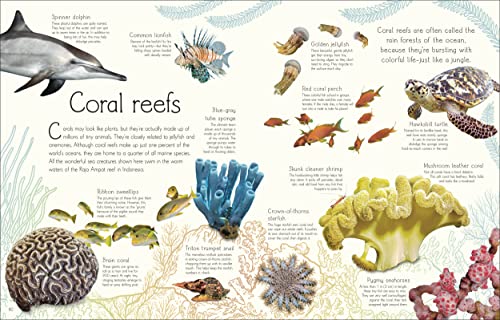 An Anthology of Aquatic Life
