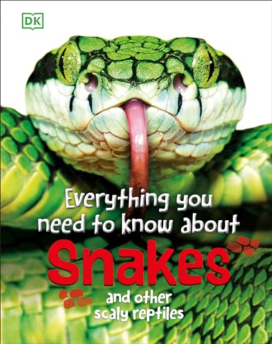Everything You Need to Know About Snakes