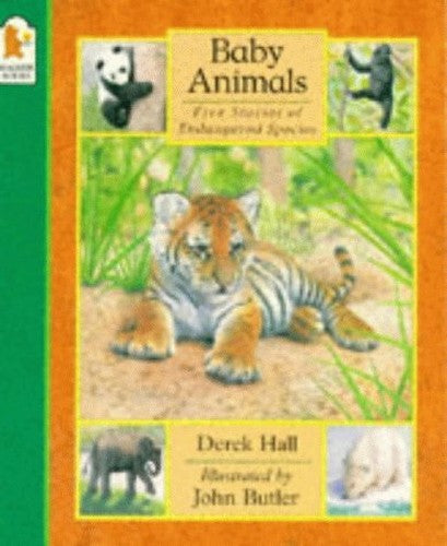 Baby Animals