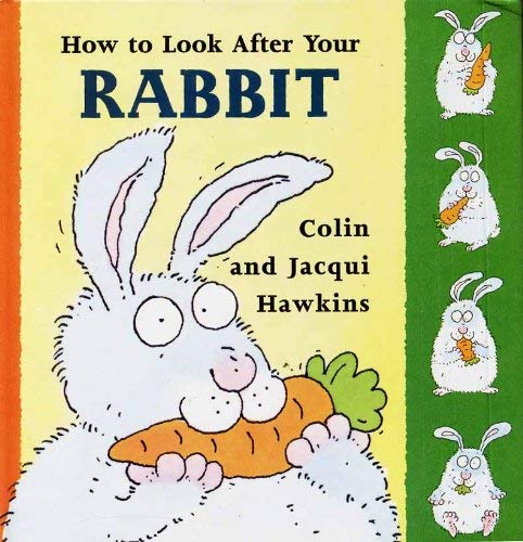 How To Look After Your Rabbit
