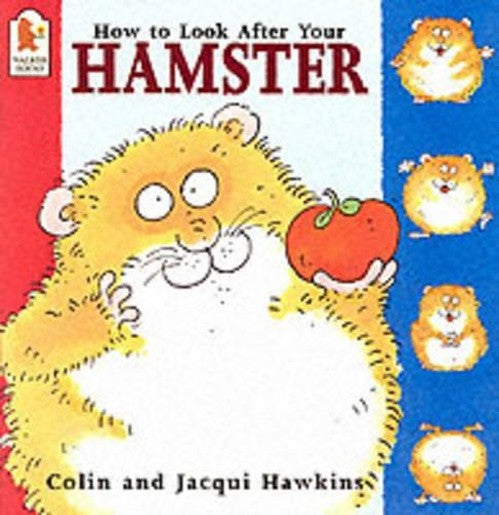 How To Look After Your Hamster