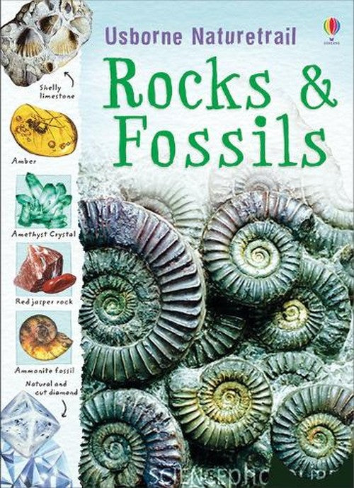 Rocks and Fossils