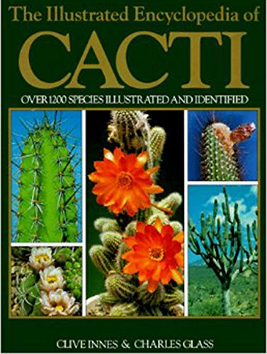 Illustrated Encyclopaedia of Cacti