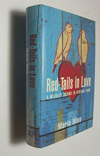 Red-tails in Love