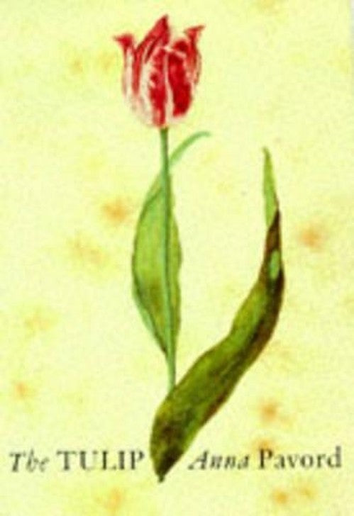 The Tulip